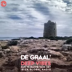 DEEP VIBES (Guest Mix)