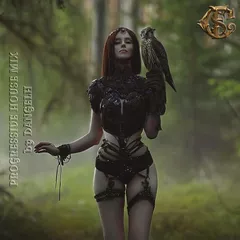 Peregrine (ProgressiveHouseMix)