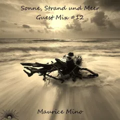 Sonne, Strand und Meer Guest Mix #12 