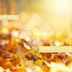 Deep House Collection vol.41