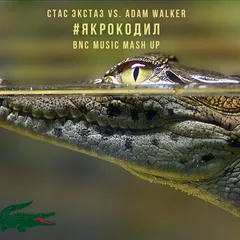 Стас Экстаз vs. Adam Walker - Я крокодил (BNC MUSIC mash up)
