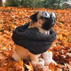 When The Tuesday Comes