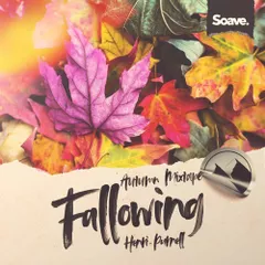 Fallowing (Soave Mixtape)