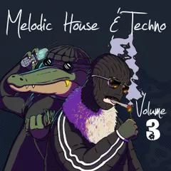 Melodic House & Techno 3