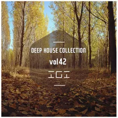 Deep House Collection vol.42