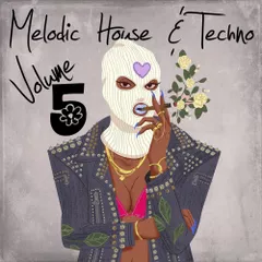 Melodic House & Techno 5