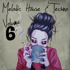 Melodic House & Techno 6