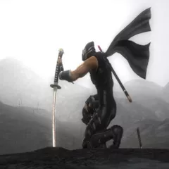 Ninja