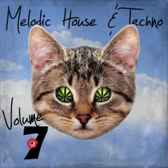 Melodic House & Techno 7