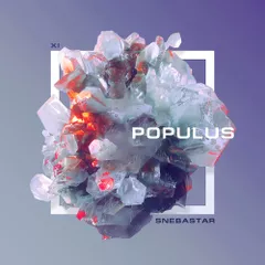 Populus Mix vol.11 (2018)