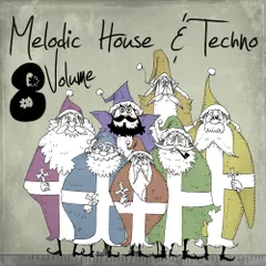 Melodic House & Techno 8