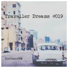 Traveller Dreams #019