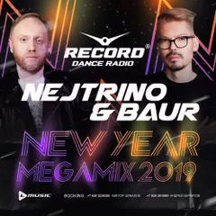 New Year Record Megamix 2019 [3 CDs]