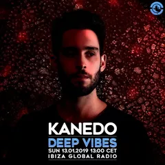 Deep Vibes (Guest Mix)