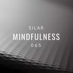 Mindfulness Episode 65