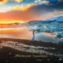 Mid Winter Transitions 