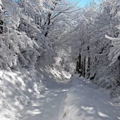 Deep Winter Mix 2019 vol.5 