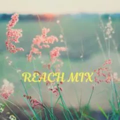 Reach mix 5