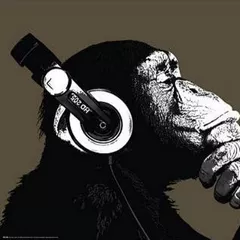 Disco pu - GOMOnatural1