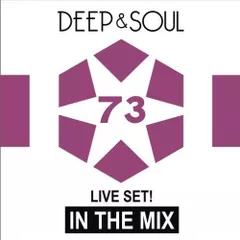 In The Mix Vol. 73 (LAST)
