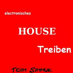 Elektronisches HouseTreiben