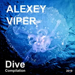 Dive Compilation