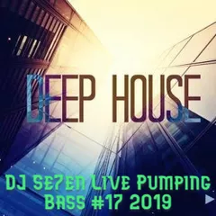 Pumping Bass #17 2019