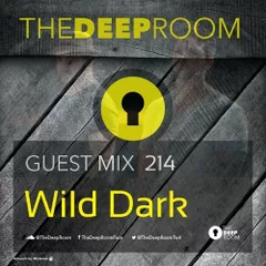 The Deep Room Guest Mix 214 