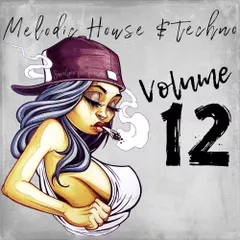 Melodic House & Techno 12