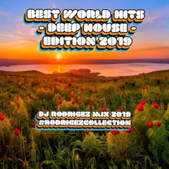 Best World Hits - Deep house edition (DJ Rodrigez mix 2019)