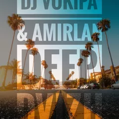 Dj Vokipa & Amirlan - Deep Dvizh #39