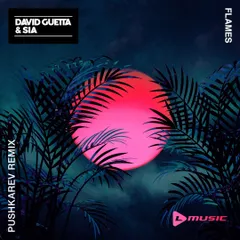 David Guetta & Sia – Flames (PUSHKAREV remix)