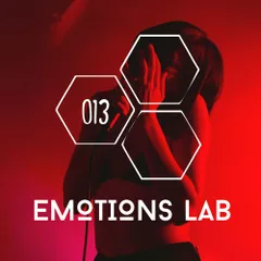 Emotions Lab 013