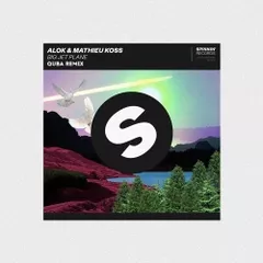 Alok & Mathieu Koss — Big Jet Plane (QUBA Remix)