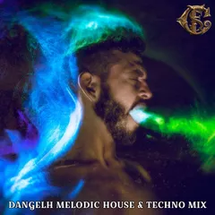 Auric Field (MelodicHouse&TechnoMix)