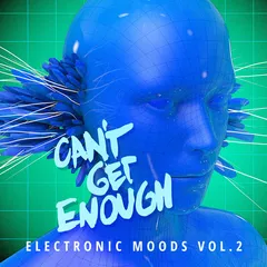 Can't Get Enough Electronic Moods vol.2