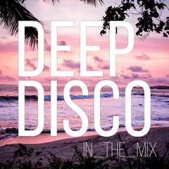 Deep Disco Records Mix vol.13
