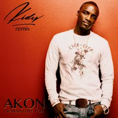 Akon - I Wanna Love You (KIDY Remix)