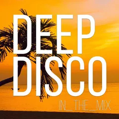 Deep Disco Records Mix vol.15