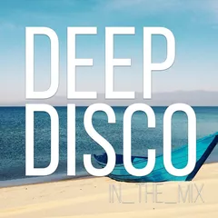 Deep Disco Records Mix vol.17