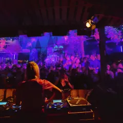 Bebetta at Feel Festival 2019