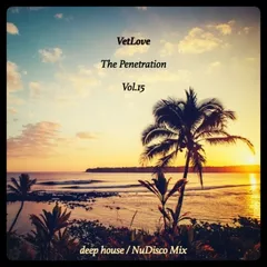 The Penetration vol.15