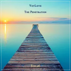 The Penetration vol.16