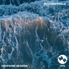 Deepwibe Session 075