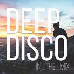 Deep Disco Records Mix vol.23