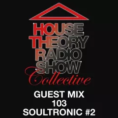 House Theory Radio Show (Guest Mix 103)