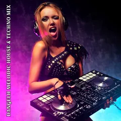 Have Some Fun (MelodicHouse&TechnoMix)