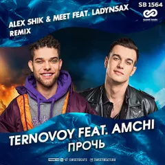 TERNOVOY feat. AMCHI — Прочь (Alex Shik & Meet Feat. Ladynsax Radio Edit)