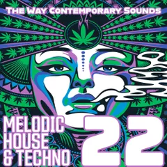 Melodic House & Techno 22