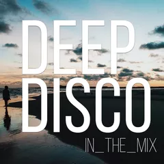 Deep Disco Records Mix vol.33